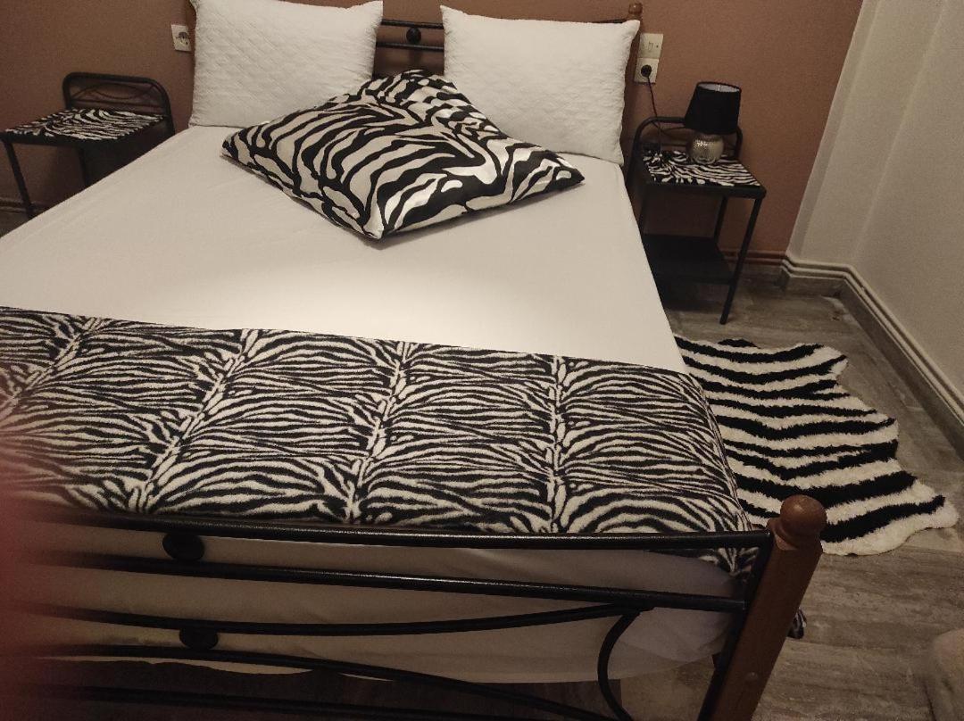 Nasos Apartment Meteora Καλαμπάκα Εξωτερικό φωτογραφία